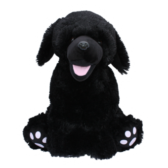 "Blacky" de Labrador*s